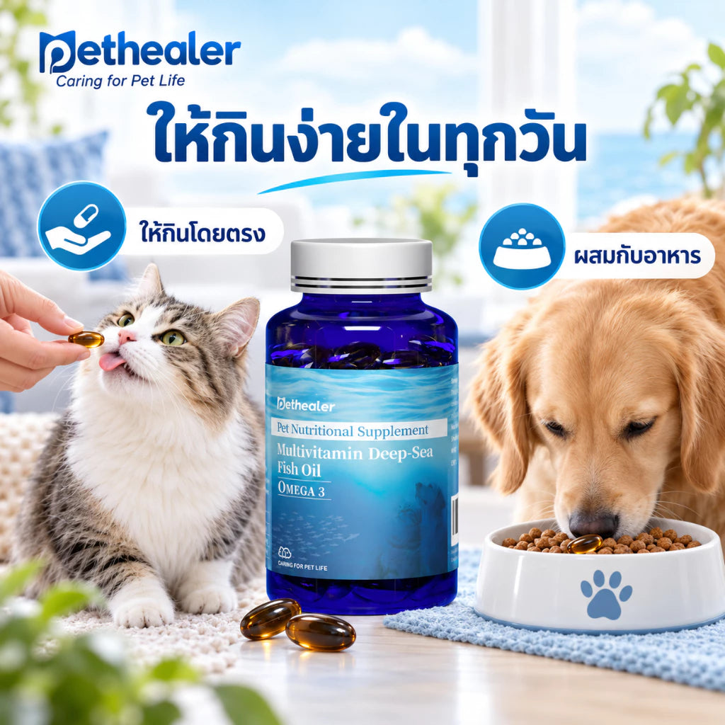 น้ำมันปลาสัตว์เลี้ยง บำรุงขนและผิวหนัง สำหรับแมวและสุนัข