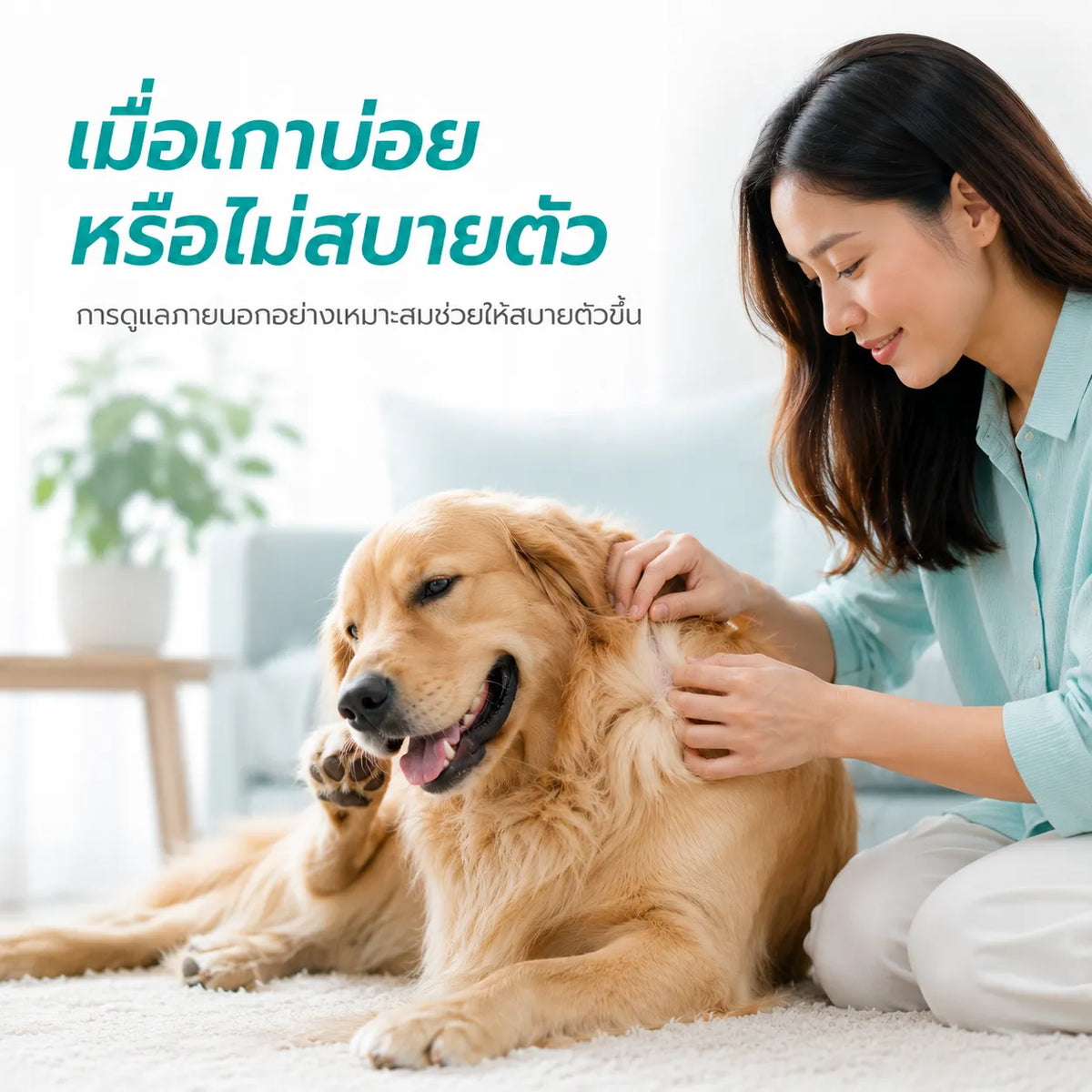 Fipronil Spot-On สำหรับแมวและสุนัข ใช้งานสะดวก ดูแลเป็นประจำได้