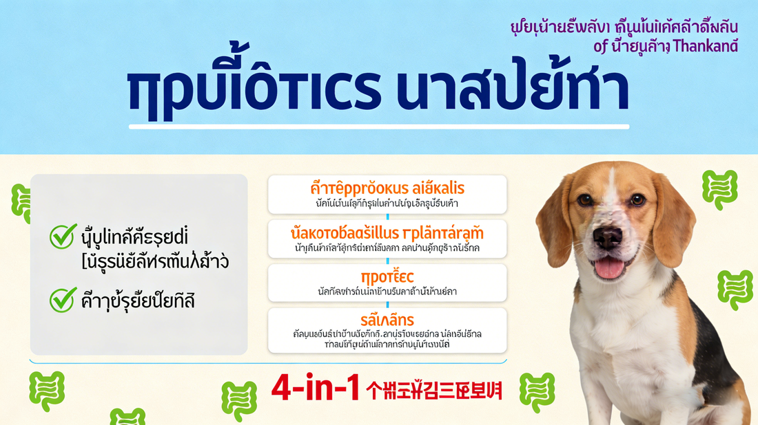 โปรไบโอติกสำหรับสัตว์เลี้ยงคืออะไร? - Pethealer