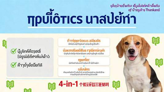 โปรไบโอติกสำหรับสัตว์เลี้ยงคืออะไร? - Pethealer