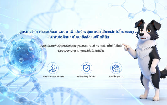 แลคโตบาซิลลัส แอซิโดฟิลัส