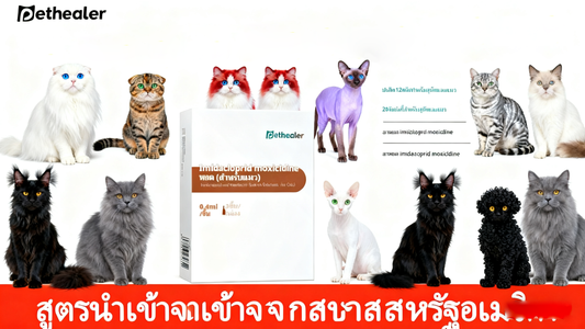 วิธีป้องกันและรักษาโรคเห็บหมัดและพยาธิในแมว - Pethealer
