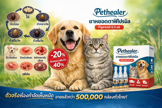 เห็บ หมา:ยา หยอด เห็บ หมัด หมา