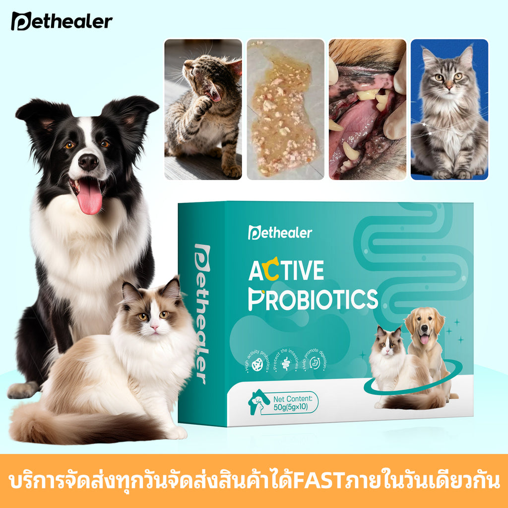 《Pethealer》โปรไบโอติกสำหรับสัตว์เลี้ยง ปรับสมดุลระบบทางเดินอาหาร เสริมสร้างระบบภูมิคุ้มกัน