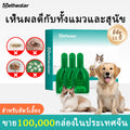 PETHEALER ชุดดูแลพยาธิภายในและภายนอกสำหรับสุนัขและแมว Fenbendazole + Fipronil