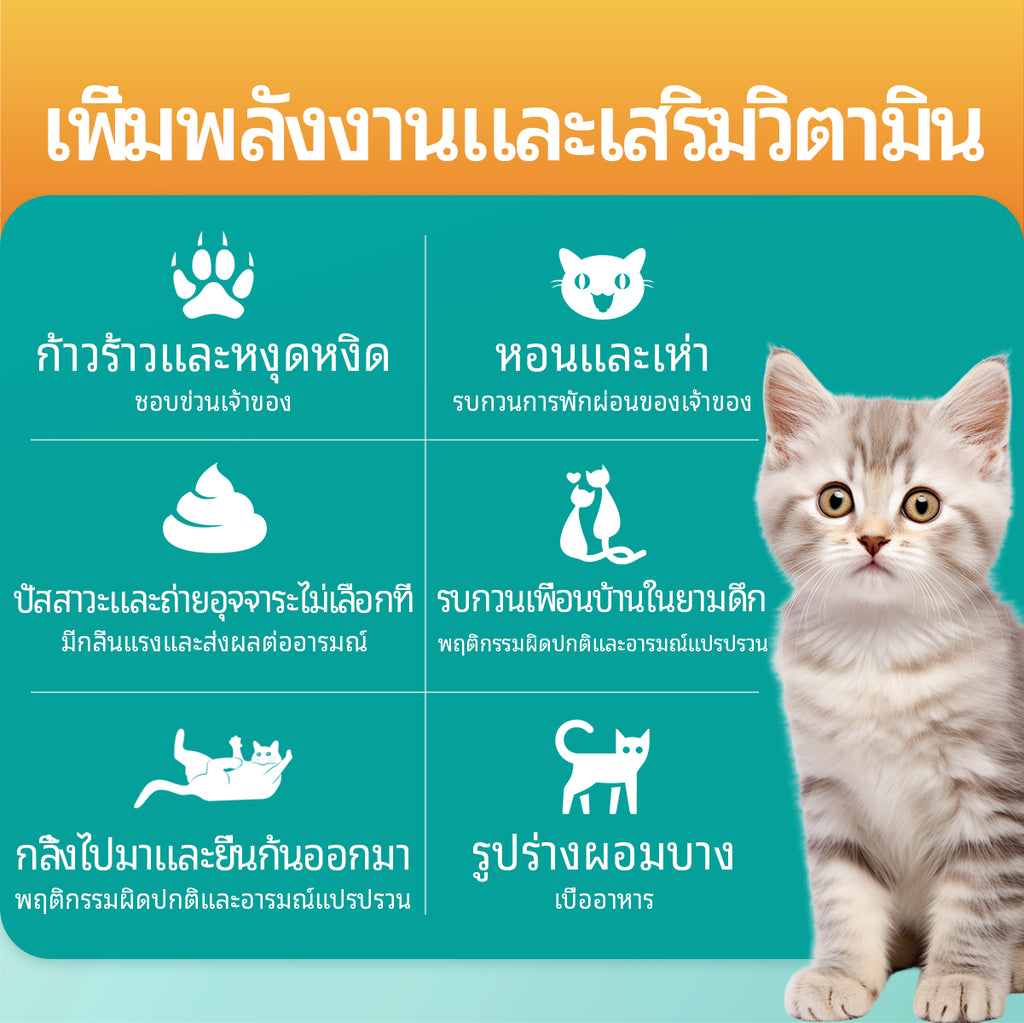 Pethealer ขนมเม็ดผ่อนคลาย สำหรับสุนัขและแมว