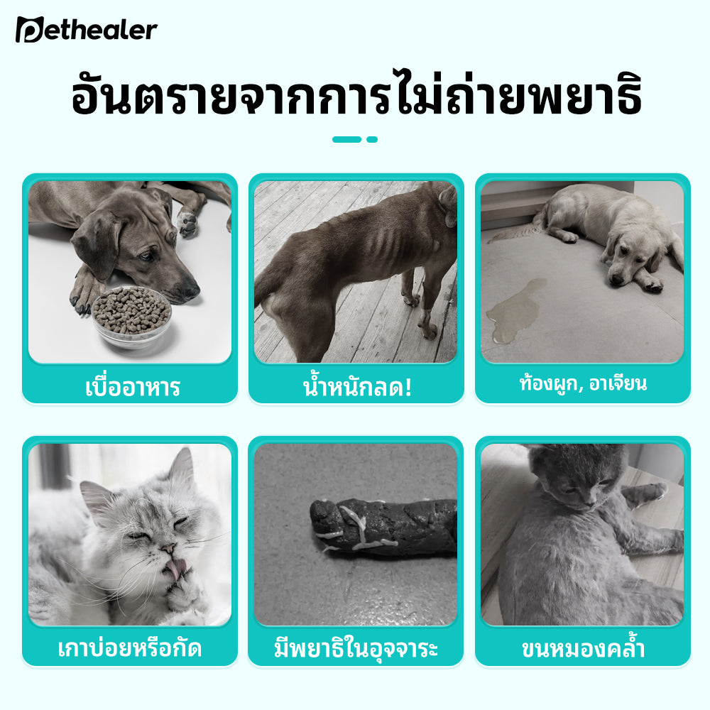 ขนมกำจัดพยาธิภายในสำหรับสัตว์เลี้ยง Pethealer—สูตรปลอดภัย