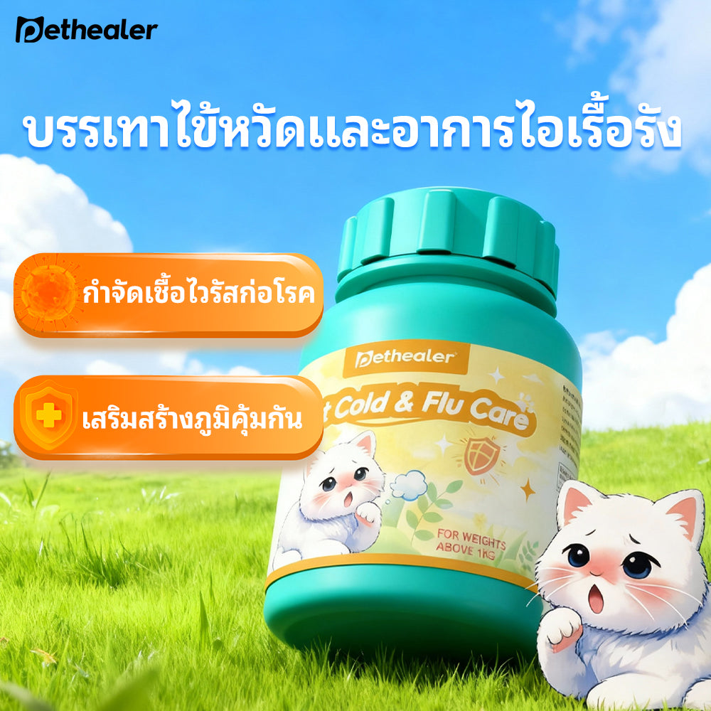 Pethealer ผงอาหารเสริมสำหรับแมว สูตรดูแลสุขภาพช่วงอากาศเปลี่ยน 50g