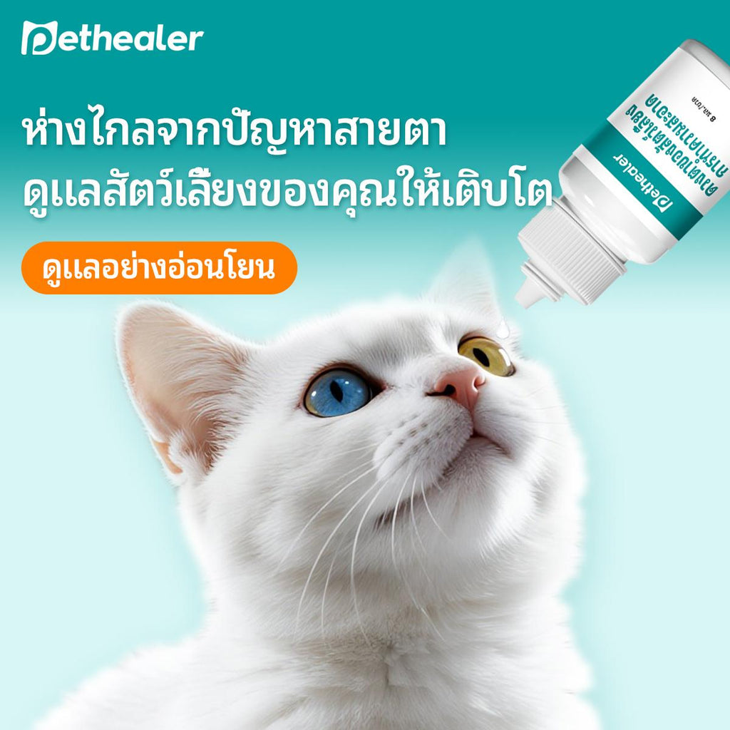 อยู่ห่างจากโรคภัยไข้เจ็บ