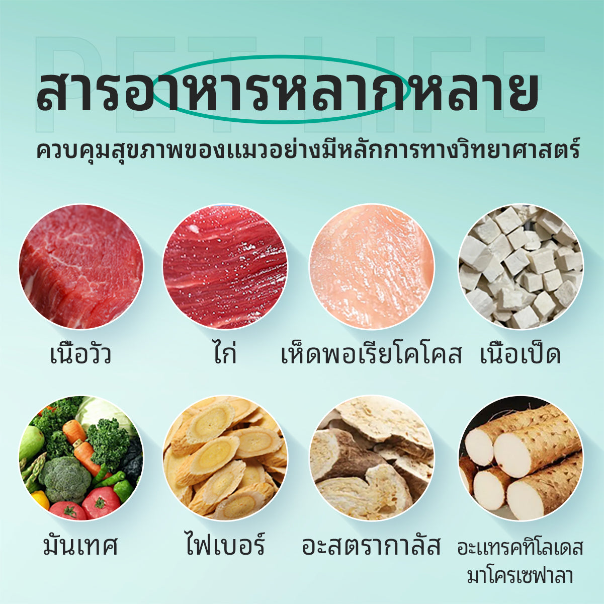 ขนมสัตว์เลี้ยงเพื่อความสบาย