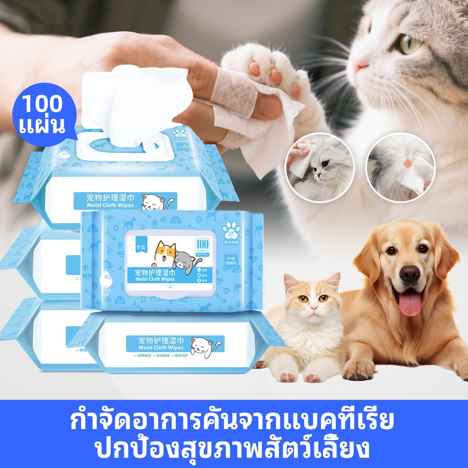 ผ้าเช็ดทำความสะอาดสัตว์เลี้ยงแบบแพ็คใหญ่