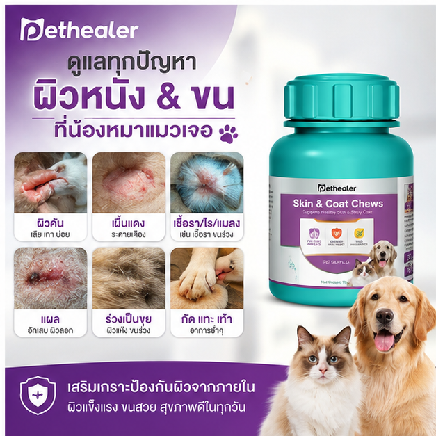 เปียงกังใช้สำหรับรักษาโรคเชื้อราที่เท้า แผลเปื่อย และอาการคัน