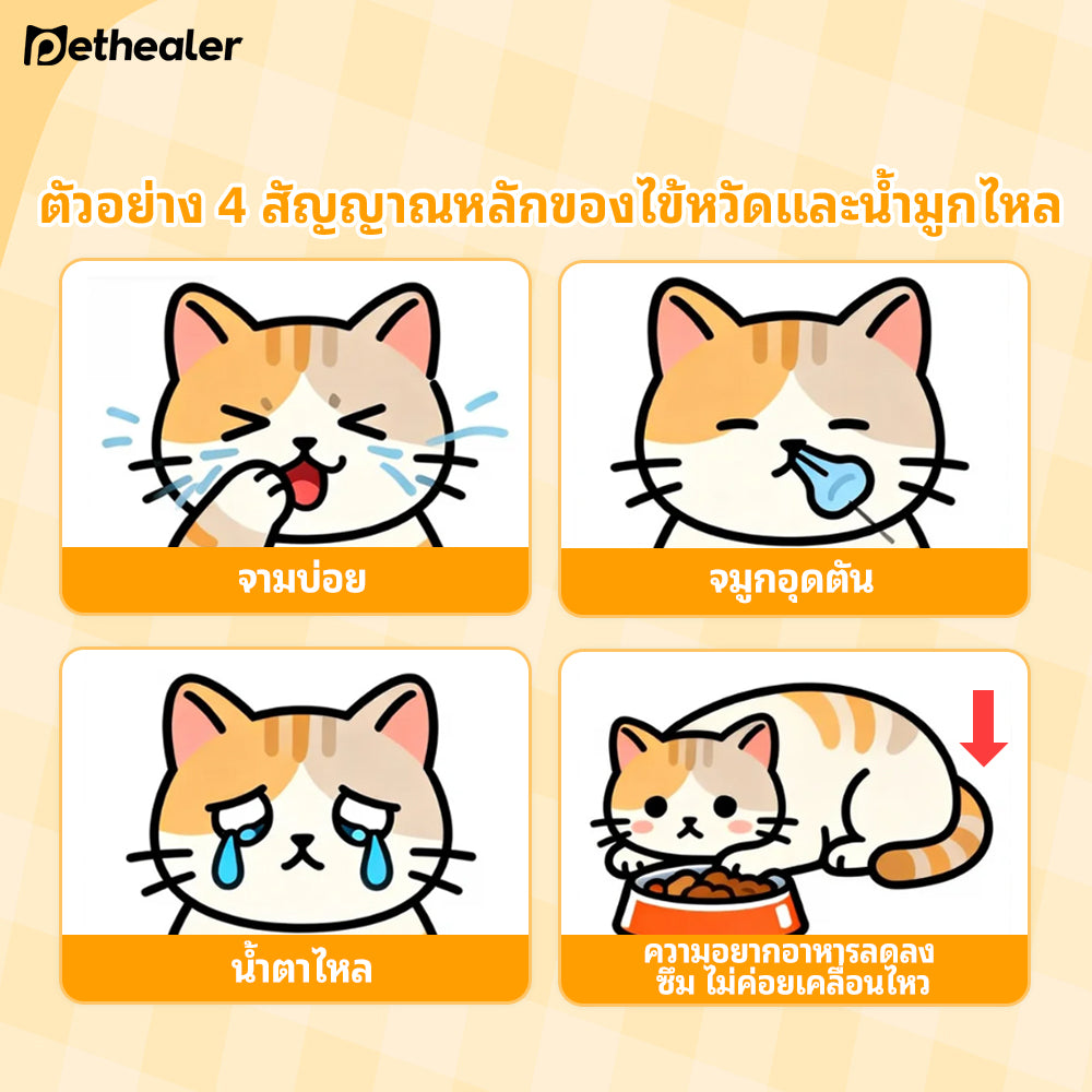 Pethealer ผงอาหารเสริมสำหรับแมว สูตรดูแลสุขภาพช่วงอากาศเปลี่ยน 50g