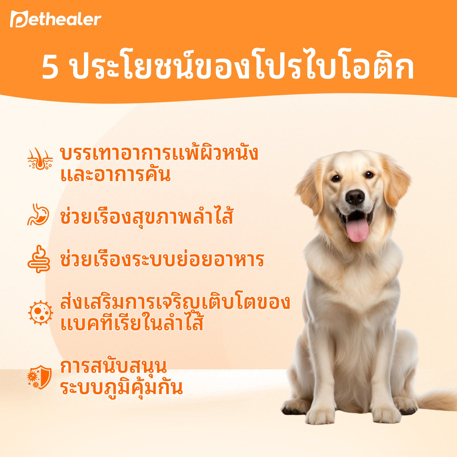 《Pethealer》โปรไบโอติกสำหรับสัตว์เลี้ยง ปรับสมดุลระบบทางเดินอาหาร เสริมสร้างระบบภูมิคุ้มกัน