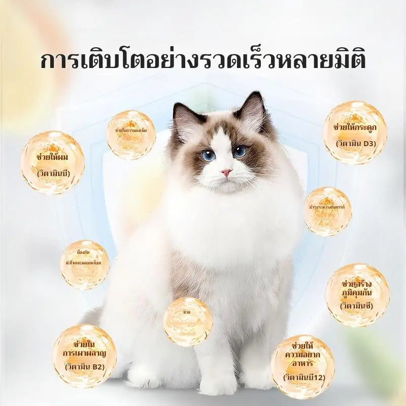 มัลติวิตามินเพื่อปกป้องการเจริญเติบโตอย่างมีสุขภาพดีของสัตว์เลี้ยงของคุณ