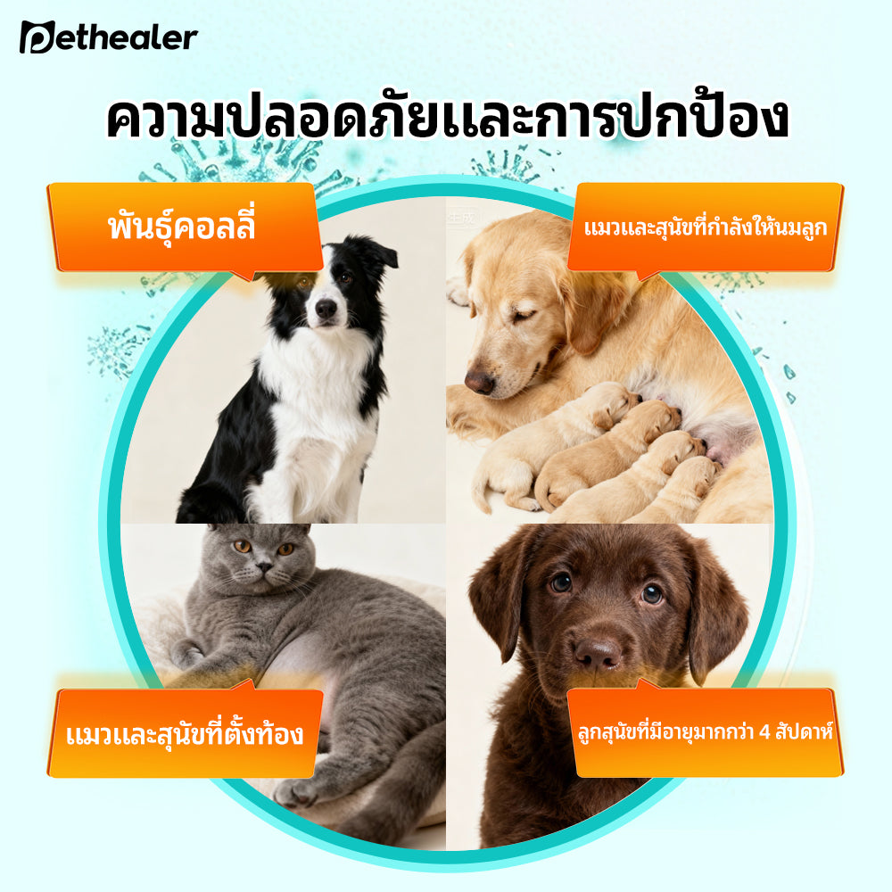 ขนมกำจัดพยาธิภายในสำหรับสัตว์เลี้ยง Pethealer—สูตรปลอดภัย