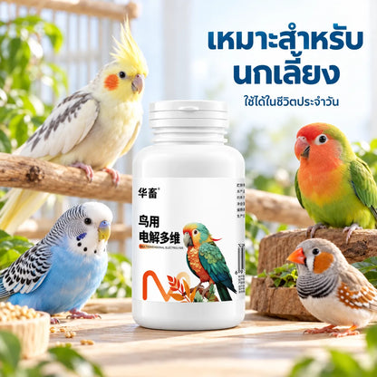 Pethealer Multivitamin & Electrolyte Supplement for Birds – 100g