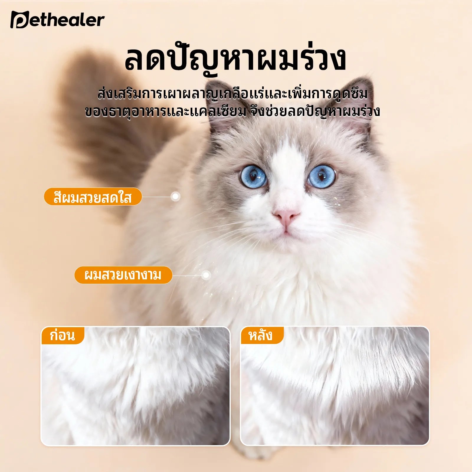 มัลติวิตามินเสริมโภชนาการสำหรับสัตว์เลี้ยง
