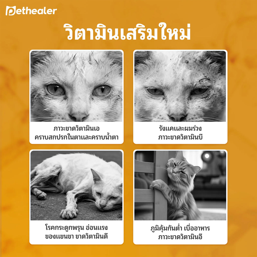 มัลติวิตามินเสริมโภชนาการสำหรับสัตว์เลี้ยง