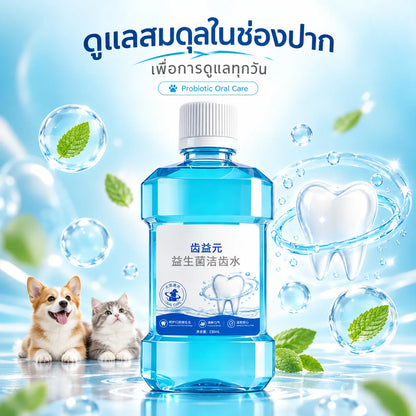 Pethealer ผลิตภัณฑ์ดูแลช่องปากผสมโปรไบโอติกสำหรับสุนัขและแมว – 230 มล.