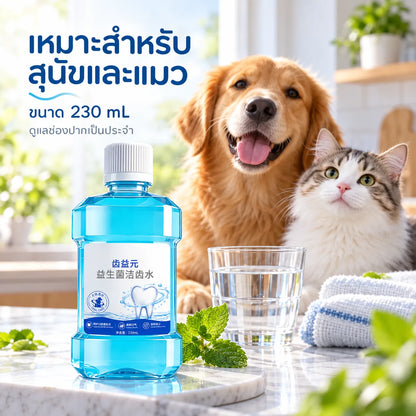 Pethealer ผลิตภัณฑ์ดูแลช่องปากผสมโปรไบโอติกสำหรับสุนัขและแมว – 230 มล.