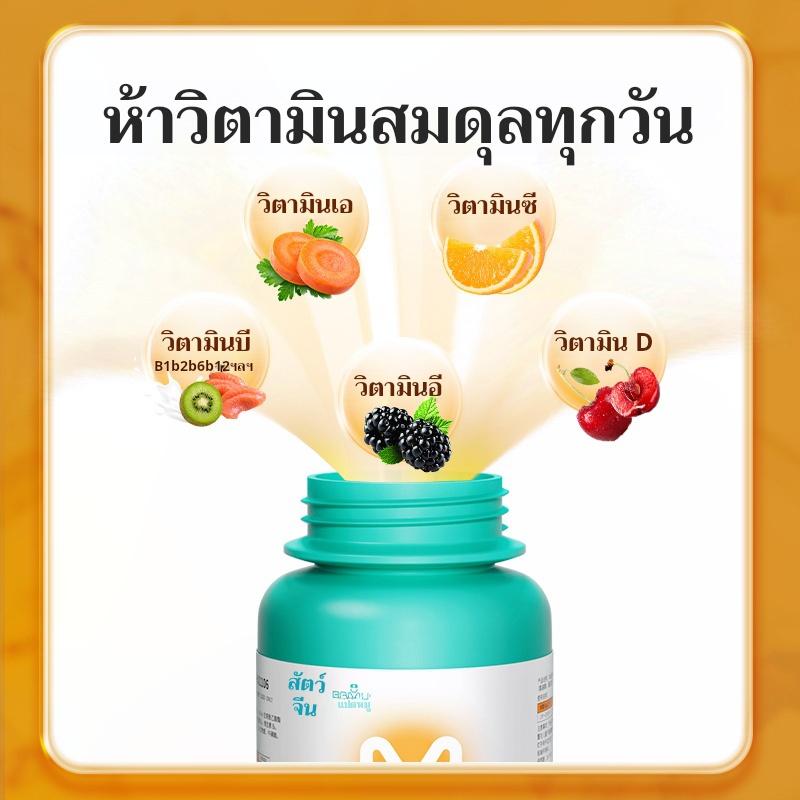 วิตามินเม็ดสำหรับสัตว์เลี้ยง ประกอบด้วยวิตามิน 12 ชนิด