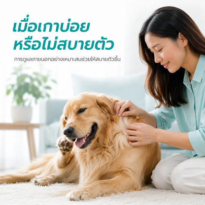 Fipronil Spot-On สำหรับแมวและสุนัข ใช้งานสะดวก ดูแลเป็นประจำได้