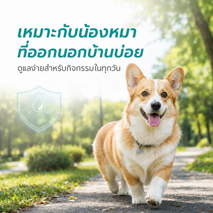 Pethealer Fipronil Spot-On ผลิตภัณฑ์หยดหลังสำหรับสุนัขและแมว เพื่อการดูแลเห็บและหมัด